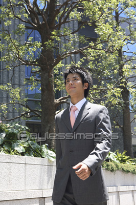 �Ǻ� ��ʪ�ӥ��ͥ����᡼��