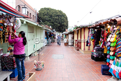 �Ǻ� ����٥饹�ȥ꡼�Ȥ��ڻ�ʪ��