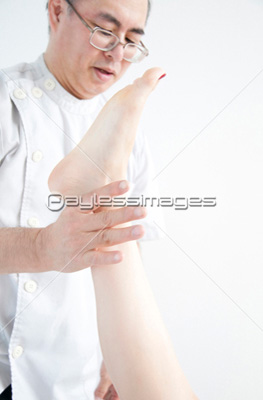 Ǻ ʪΤ