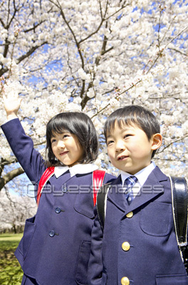素材 人物桜の前に立つ小学生男女