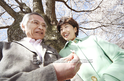 素材 人物桜の花を見る老夫婦