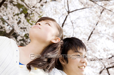 素材 人物桜とカップル