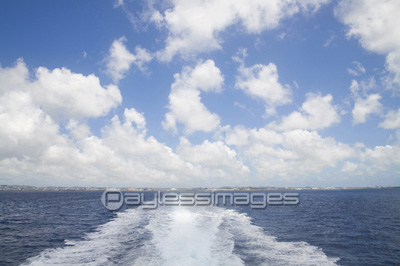 �Ǻ� ����