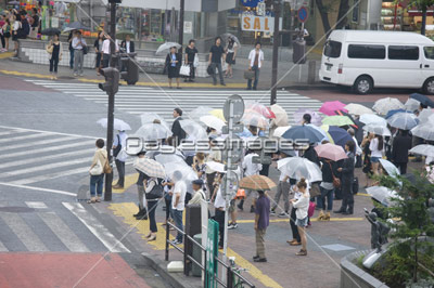 素材 人物信号待ちの人々