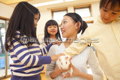 �Ǻ� ��ʪ����åȤ������ݰ������ݰ��