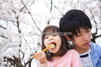 素材 人物桜の下でお弁当を食べる親子
