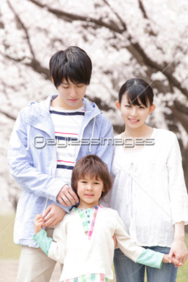 素材 人物桜の下で微笑む家族