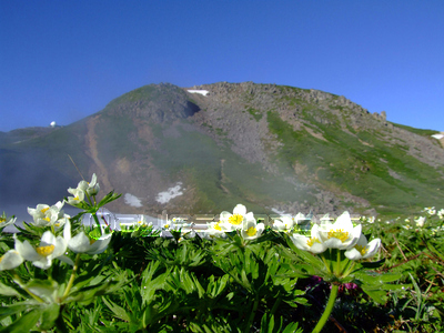 素材 早朝の乗鞍