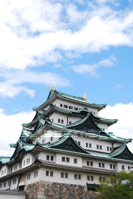 �Ǻ� ̾�Ų���