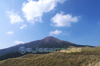 �Ǻ� ���ҳ�