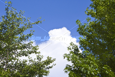 素材 人物緑と入道雲