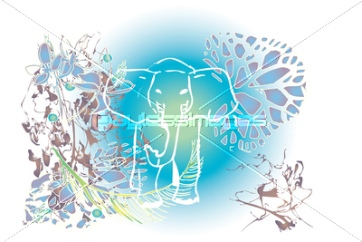 Ǻ elephant