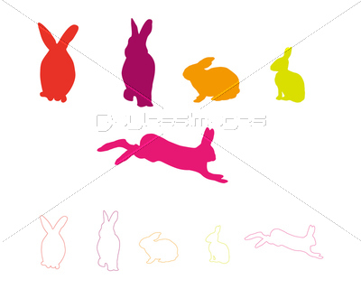 �Ǻ� rabbit set