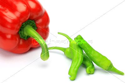 Ǻ ѥץꥫȥȥ