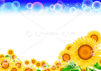 �Ǻ� �Ҥޤ��