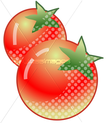 Ǻ ץȥޥ