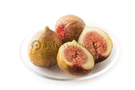 �Ǻ� �Ϥ�����������