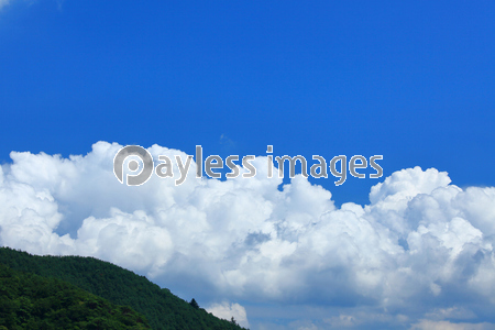 �Ǻ� �ٻλ����鸫����ƻ��