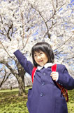 桜の前に立つ小学生女子