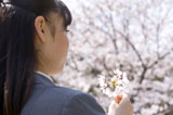 桜の香りを嗅ぐ女子高生